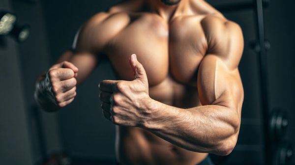 Top méthodes pour muscler et tonifier facilement